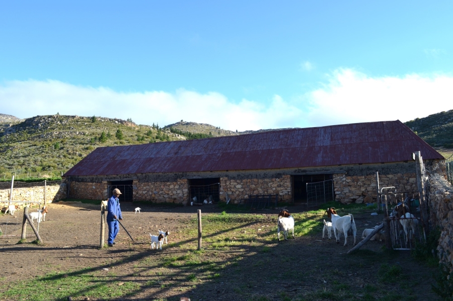 0 Bedroom Property for Sale in Uniondale Western Cape